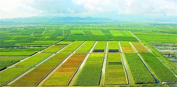 浅谈&ldquo;十三五&rdquo;我国现代农业发展趋势
